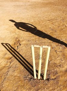 Cricket on the sand